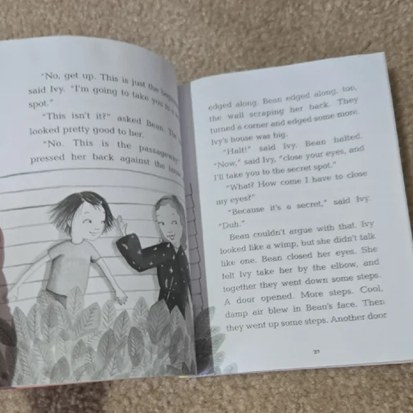 Chapter Book Collection - Picture 8 of 10